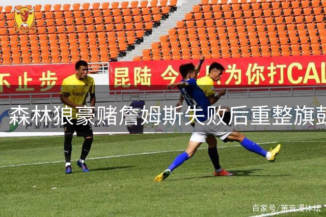 森林狼豪赌詹姆斯失败后重整旗鼓 76人签下41岁传奇引热议